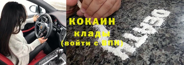 PSILOCYBIN Арсеньев